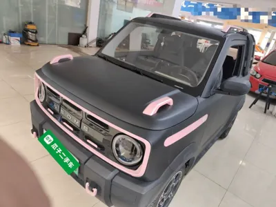 Geely Galaxy Panda · 2024 год