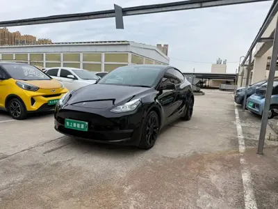 Tesla Model Y · 2023 год