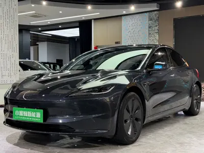 Tesla Model 3 · 2025 год