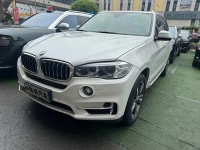 BMW X5 (Import) · 2018 год