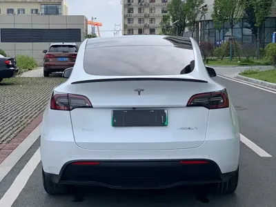 Tesla Model Y 2023, 60000 км, за 24278.52 USD