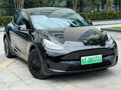 Tesla Model Y · 2023 год