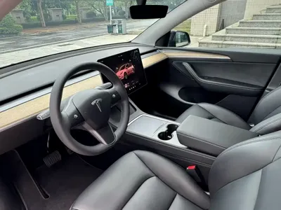 Tesla Model Y 2023, 60000 км, за 23545.34 USD - фото 8