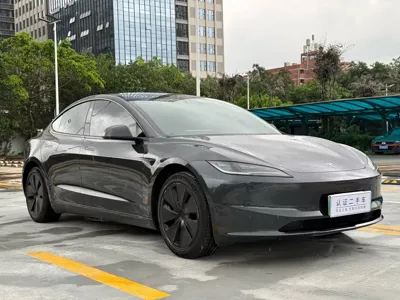 Tesla Model 3 2024, 49000 км, за 25279.09 USD