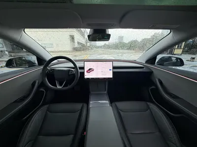 Tesla Model 3 2024, 49000 км, за 25279.09 USD