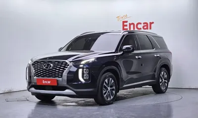 Hyundai Palisade · 2019 год