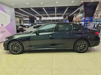 BMW 3 Series 2020, 80000 км, за 22449.16 USD - фото 9