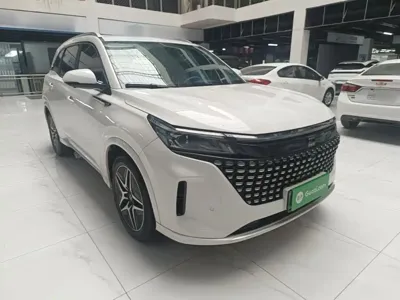 Landian Landian E5 2024, 48500 км, за 10417.69 USD
