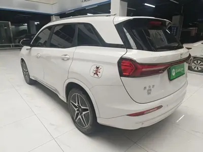 Landian Landian E5 2024, 48500 км, за 10417.69 USD