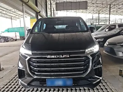 大通 G20 2023, 88100 км, за 10887.11 USD
