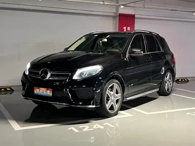 Mercedes-Benz 奔驰GLE(进口)