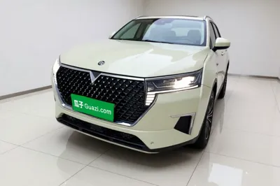Venucia Star · 2020 год