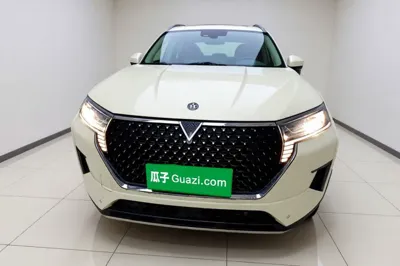 Venucia Star 2020, 71600 км, за 9105 USD
