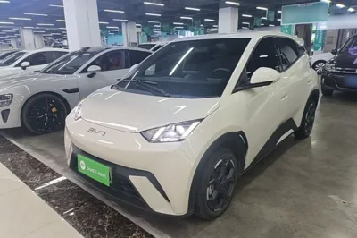 BYD Seagull