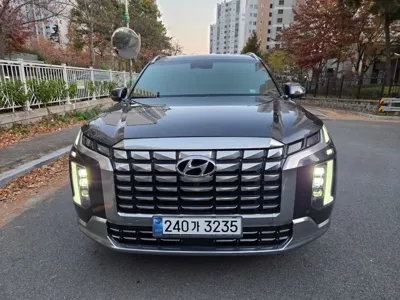 Hyundai Palisade · 2024 год