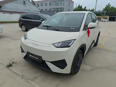 BYD Seagull 2026, 100 км, за 8637.27 USD