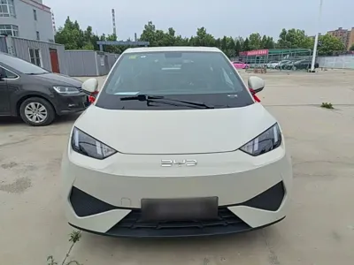 BYD Seagull 2026, 100 км, за 8637.27 USD