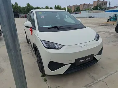 BYD Seagull 2026, 100 км, за 8637.27 USD