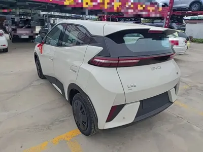 BYD Seagull 2026, 100 км, за 8637.27 USD