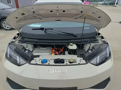 BYD Seagull 2026, 100 км, за 8637.27 USD - фото 20
