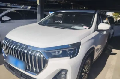 Jetour X90 Plus · 2024 год