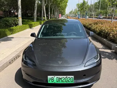 Tesla Model 3 · 2025 год