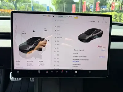 Tesla Model 3 2025, 21000 км, за 21986.31 USD - фото 8