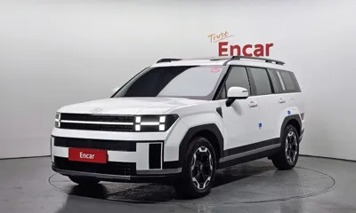 Hyundai Santafe · 2024 год