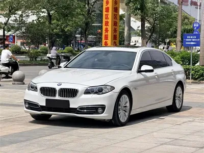 BMW 5 Series · 2017 год