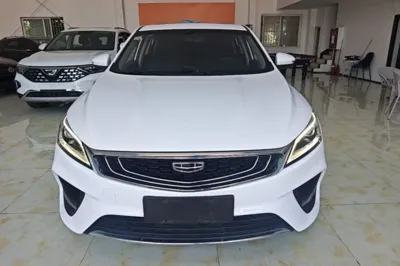Geely Auto Binray 2020, 47800 км, за 5763 USD