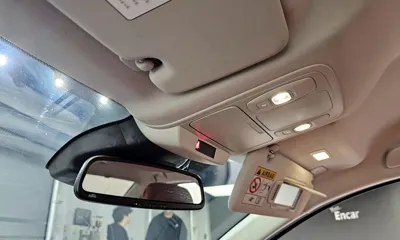 Renault-KoreaSamsung SM6 2021, 44968 км, за 11892.96 USD - фото 19