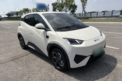 BYD Seagull 2025, 1000 км, за 11631 USD