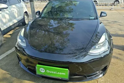 Tesla Model 3 2021, 63099 км, за 19426 USD - фото 2