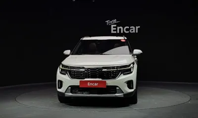 Kia Seltos 2023, 34095 км, за 17707.3 USD