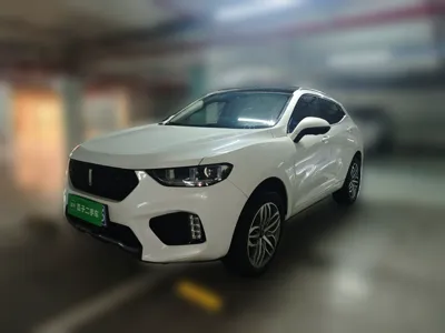 WEY VV5 · 2019 год