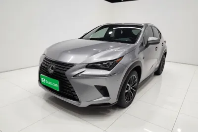 Lexus NX · 2019 год