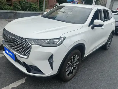 Haval H6 · 2023 год