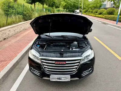 Haval H6 2016, 53000 км, за 3353.8 USD - фото 17