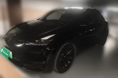Tesla Model Y · 2021 год