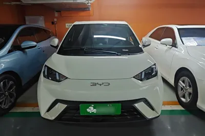 BYD Seagull 2025, 14800 км, за 11222 USD