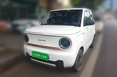 Geely Galaxy Panda · 2024 год