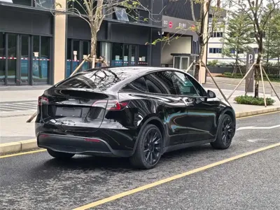 Tesla Model Y 2022, 79000 км, за 22457.51 USD - фото 6