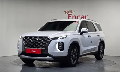 Hyundai Palisade · 2019 год