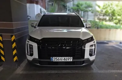 Hyundai Palisade · 2024 год