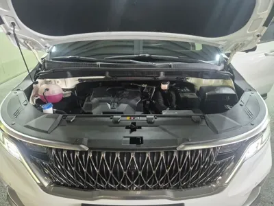 Kia Canival 2022, 24170 км, за 18428.07 USD - фото 20