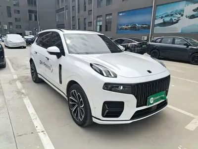 Lynk & Co 09 EM-P 2024, 21400 км, за 27363.56 USD