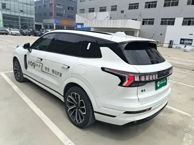 Lynk & Co 09 EM-P 2024, 21400 км, за 27363.56 USD