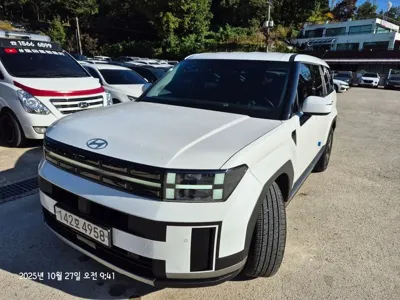 Hyundai Santafe · 2024 год
