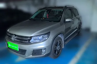 Volkswagen Tiguan · 2015 год