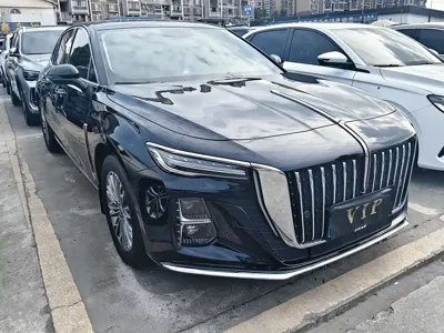 Hongqi Hongqi H5 2025, 7000 км, за 13022.11 USD